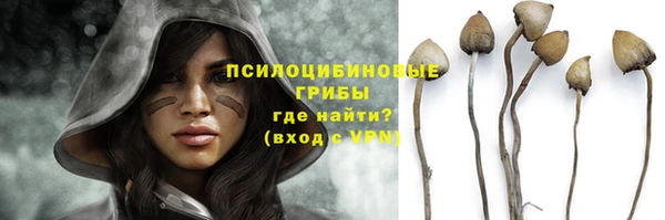 хмурый Абинск
