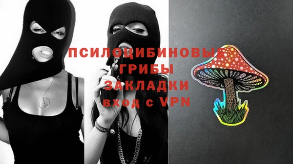 2c-b Алексин