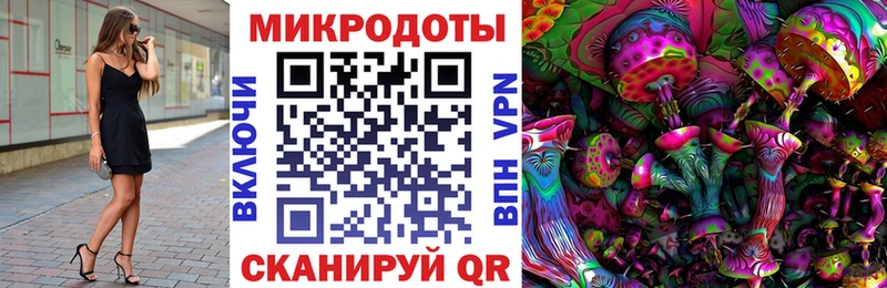 Псилоцибиновые грибы GOLDEN TEACHER блэк спрут Кудымкар